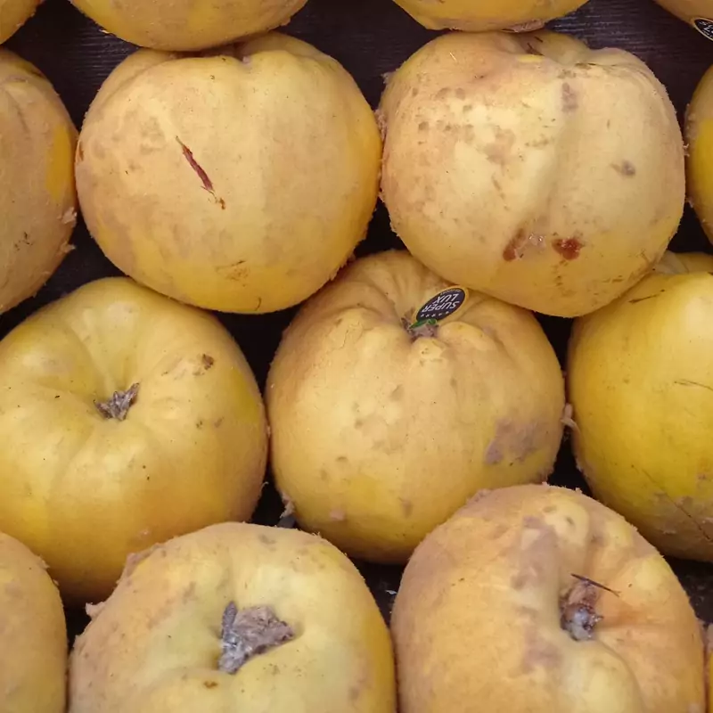 میوه به شیرین اردبیل