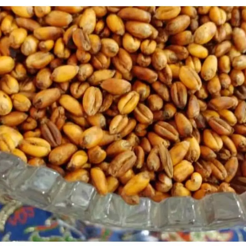 گندم برشته بو داده شب عید و چهارشنبه سوری